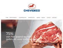 Tablet Screenshot of chevideco.com